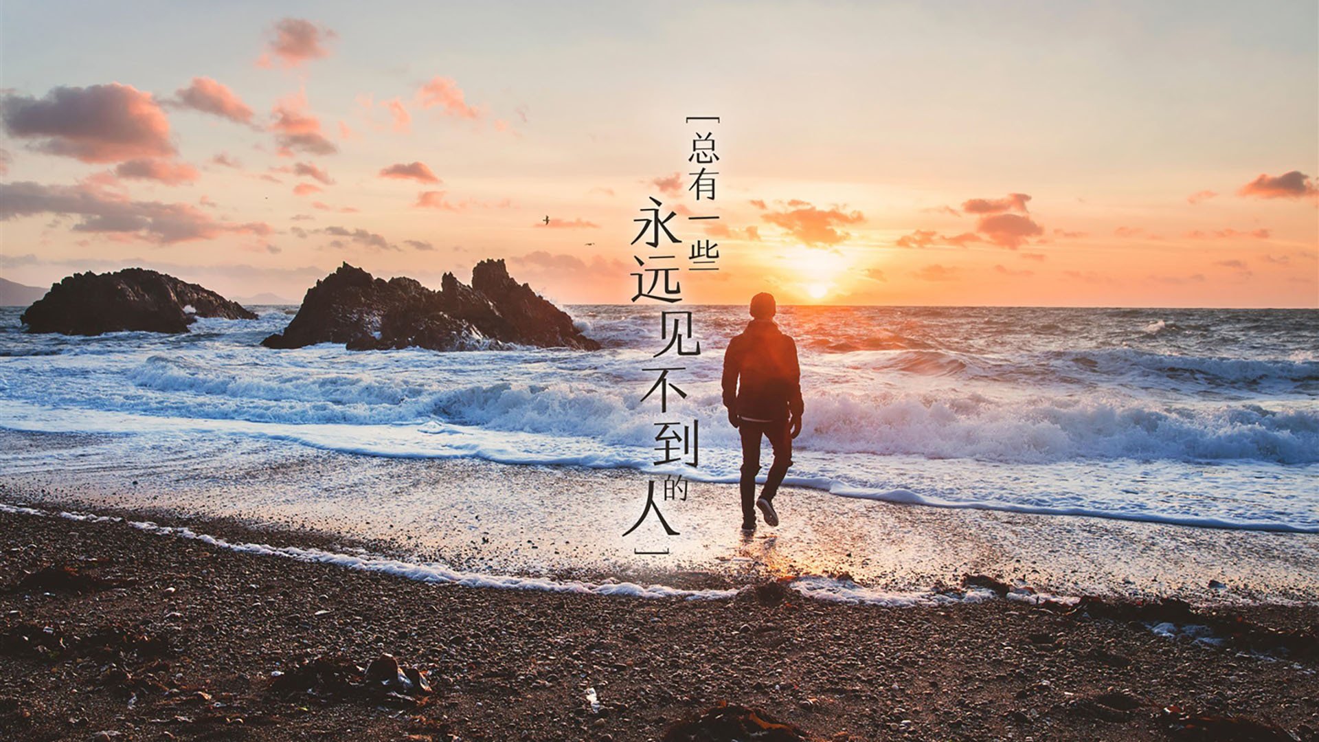 体育组织对接社区服务功能拓展机制研究，社区体育组织结构
