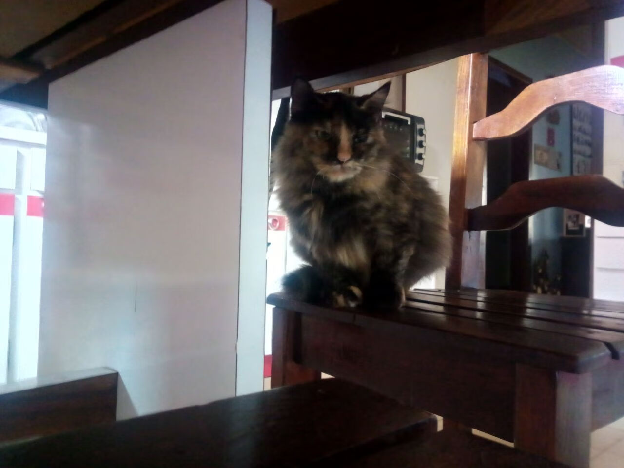 快节奏对阵容平均年龄的要求是否更高，快节奏是什么